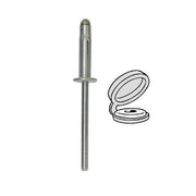 4540 - Rivet expansé 4x17.5mm avec chapo blanc pour plaque d'immatriculation RESTAGRAF - RESTAGRAF