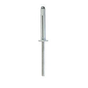 4529 - Rivet expansé blanc universel 4 x 25mm pour plaque d'immatriculation  RESTAGRAF - RESTAGRAF
