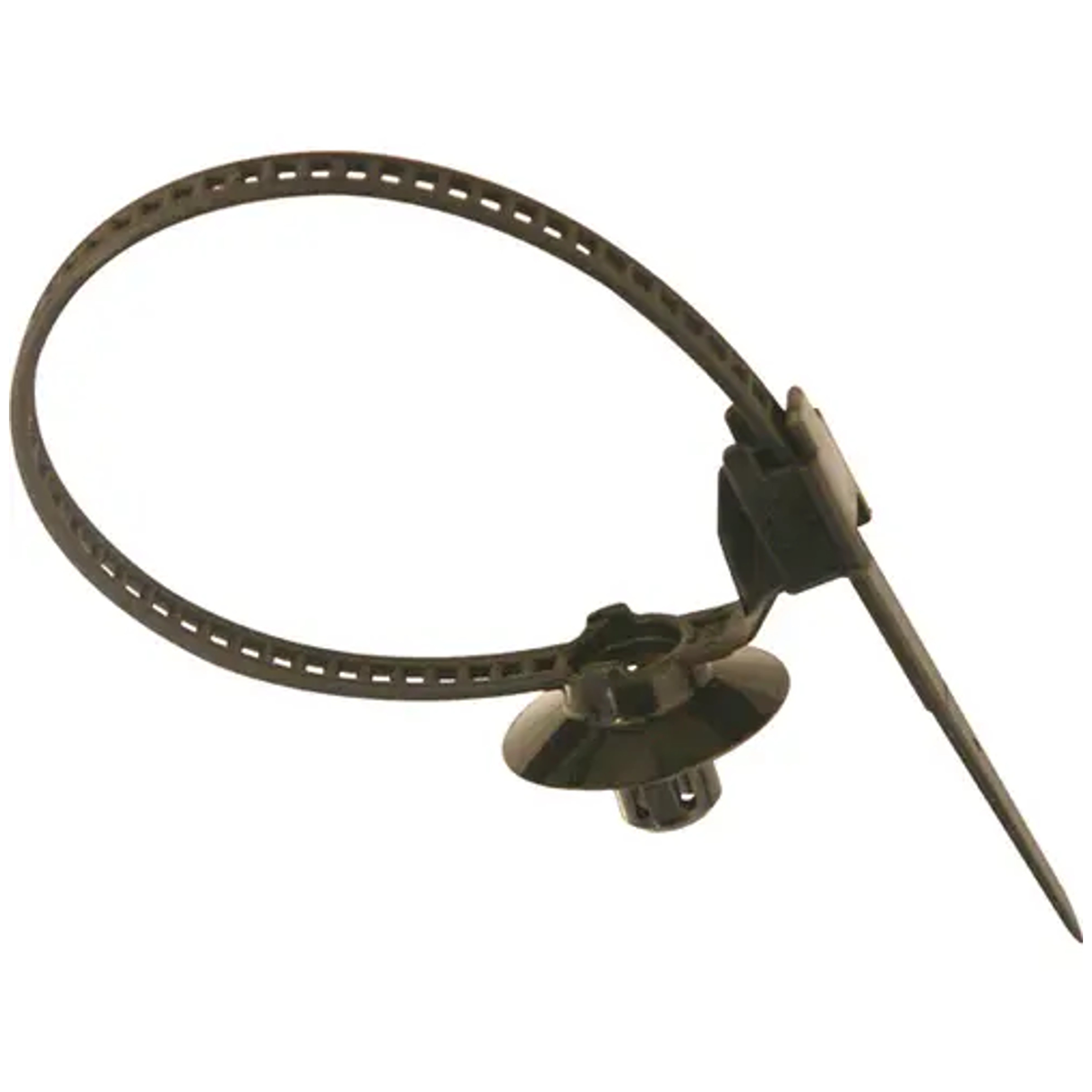 9649 - Anchor Strap 140 x 5 mm RESTAGRAF