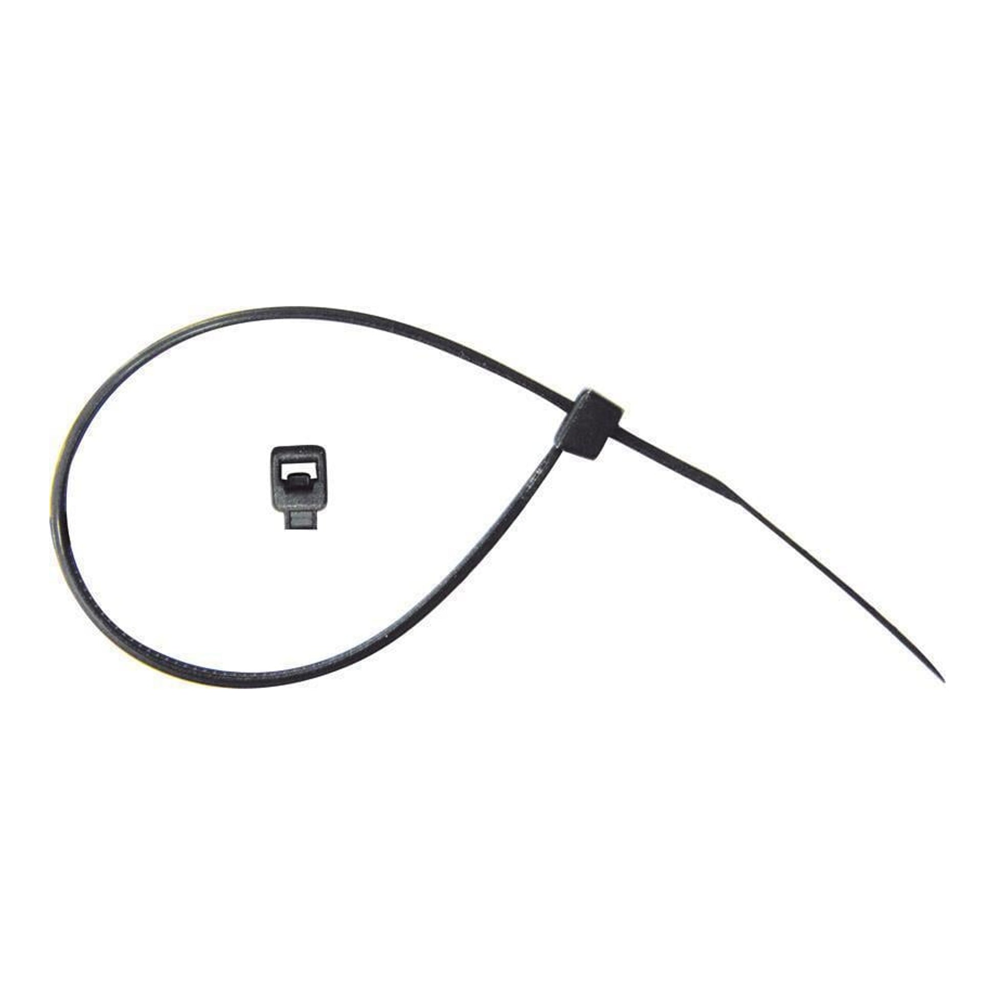 555107 - Lanière 250 x 7.6 mm RESTAGRAF - RESTAGRAF