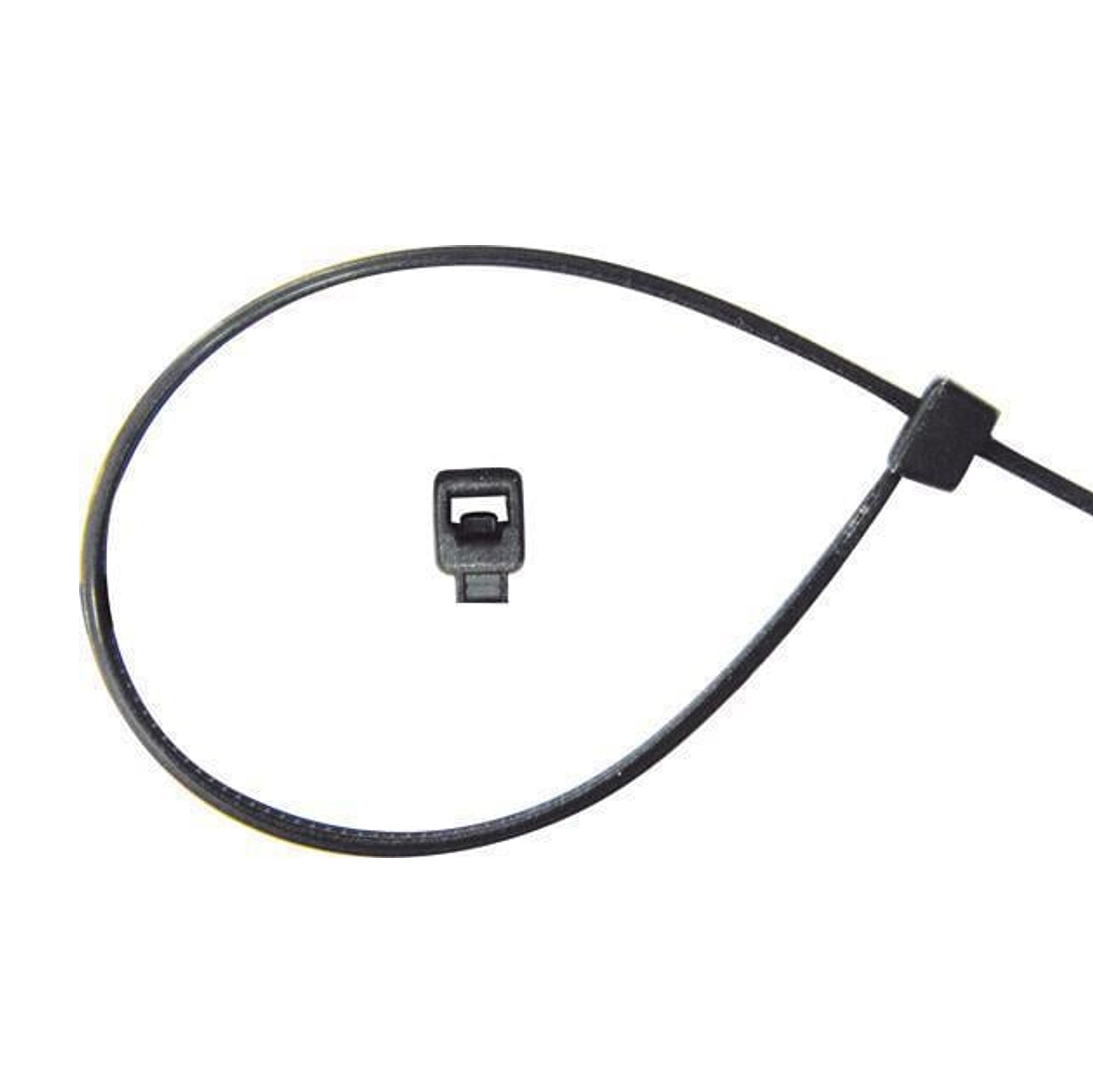 555107 - Lanière 250 x 7.6 mm RESTAGRAF - RESTAGRAF